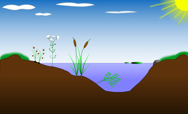 CONSULTATION PUBLIQUE D’UN PROJET DE DÉCRET RELATIF À LA PROTECTION DES BIOTOPES ET DES HABITATS NATURELS